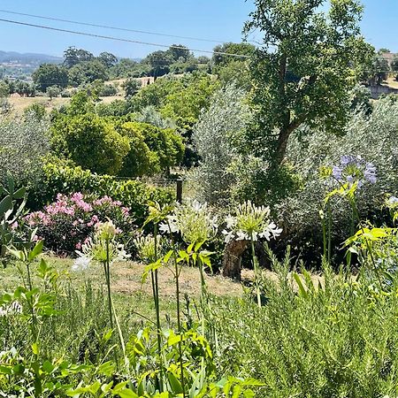 Best Luxury Boutique B&B Vista Do Vale Tomar Exterior photo